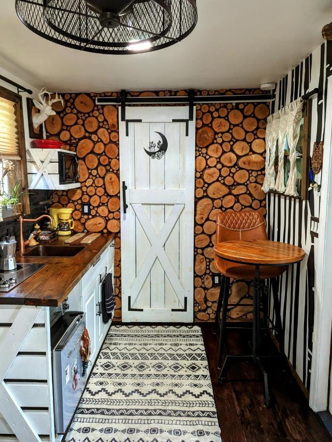 Cozy Af Tiny-House Oasis Villa Tampa Dış mekan fotoğraf
