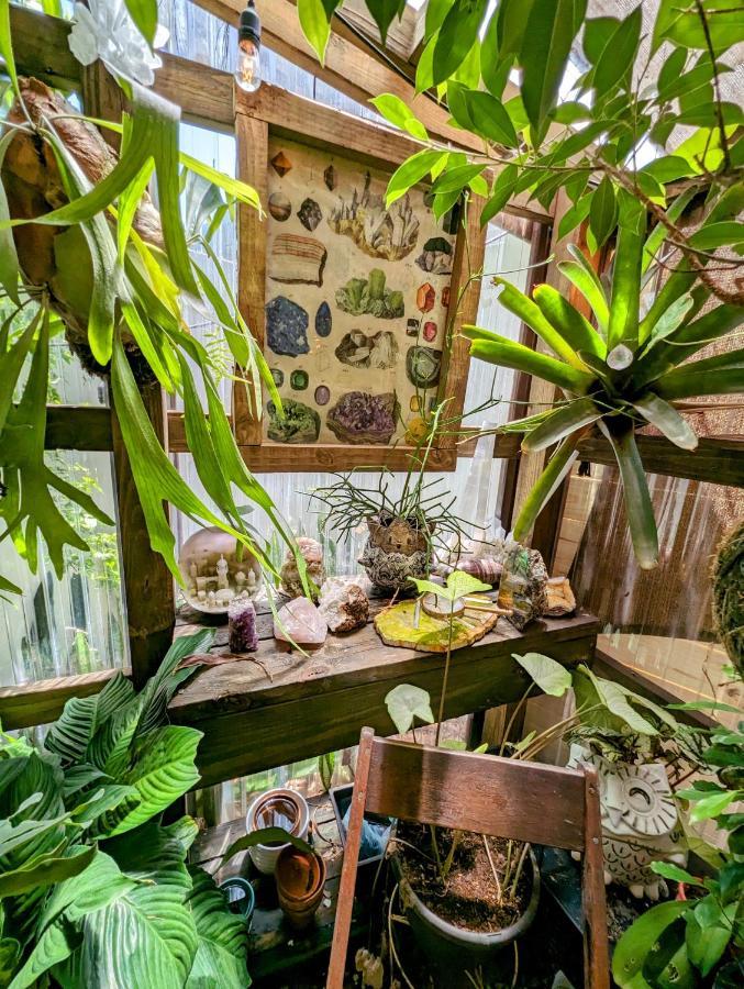 Cozy Af Tiny-House Oasis Villa Tampa Dış mekan fotoğraf