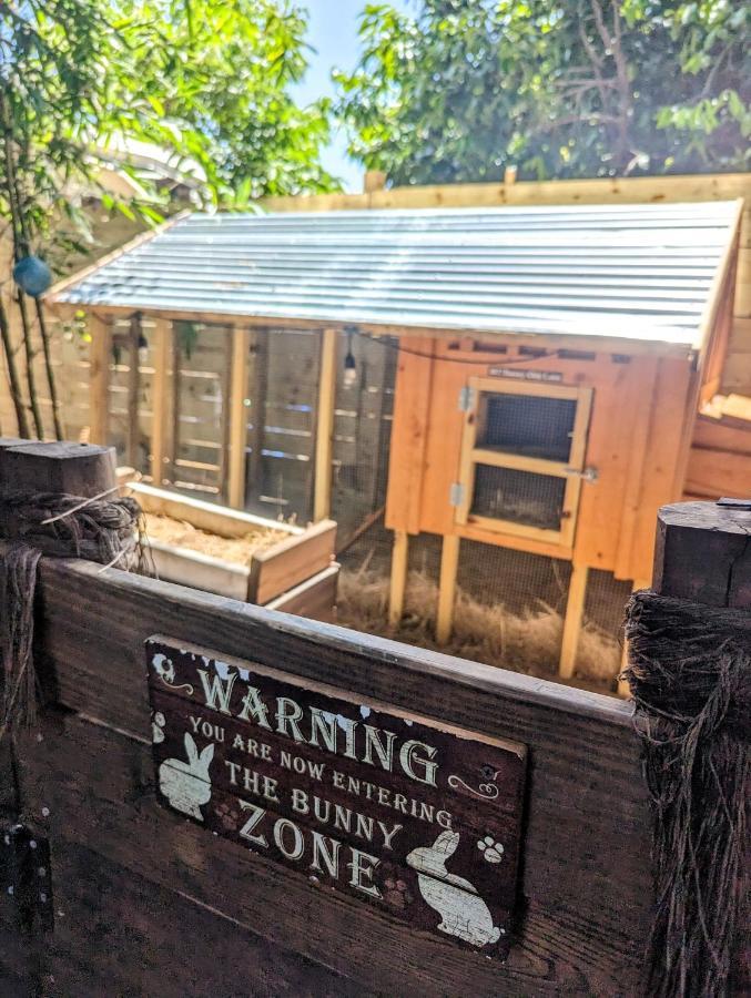 Cozy Af Tiny-House Oasis Villa Tampa Dış mekan fotoğraf