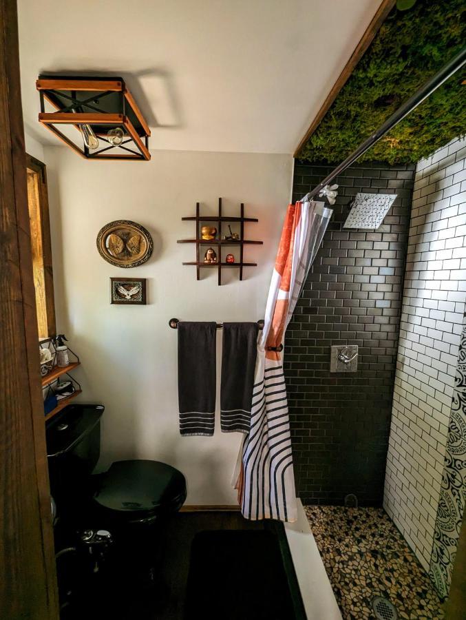 Cozy Af Tiny-House Oasis Villa Tampa Dış mekan fotoğraf