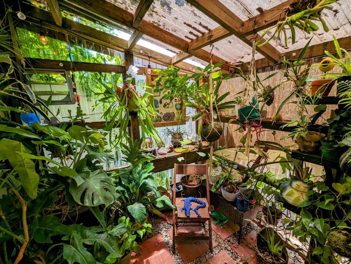 Cozy Af Tiny-House Oasis Villa Tampa Dış mekan fotoğraf